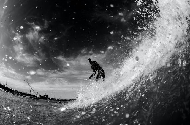 Black & White Nature