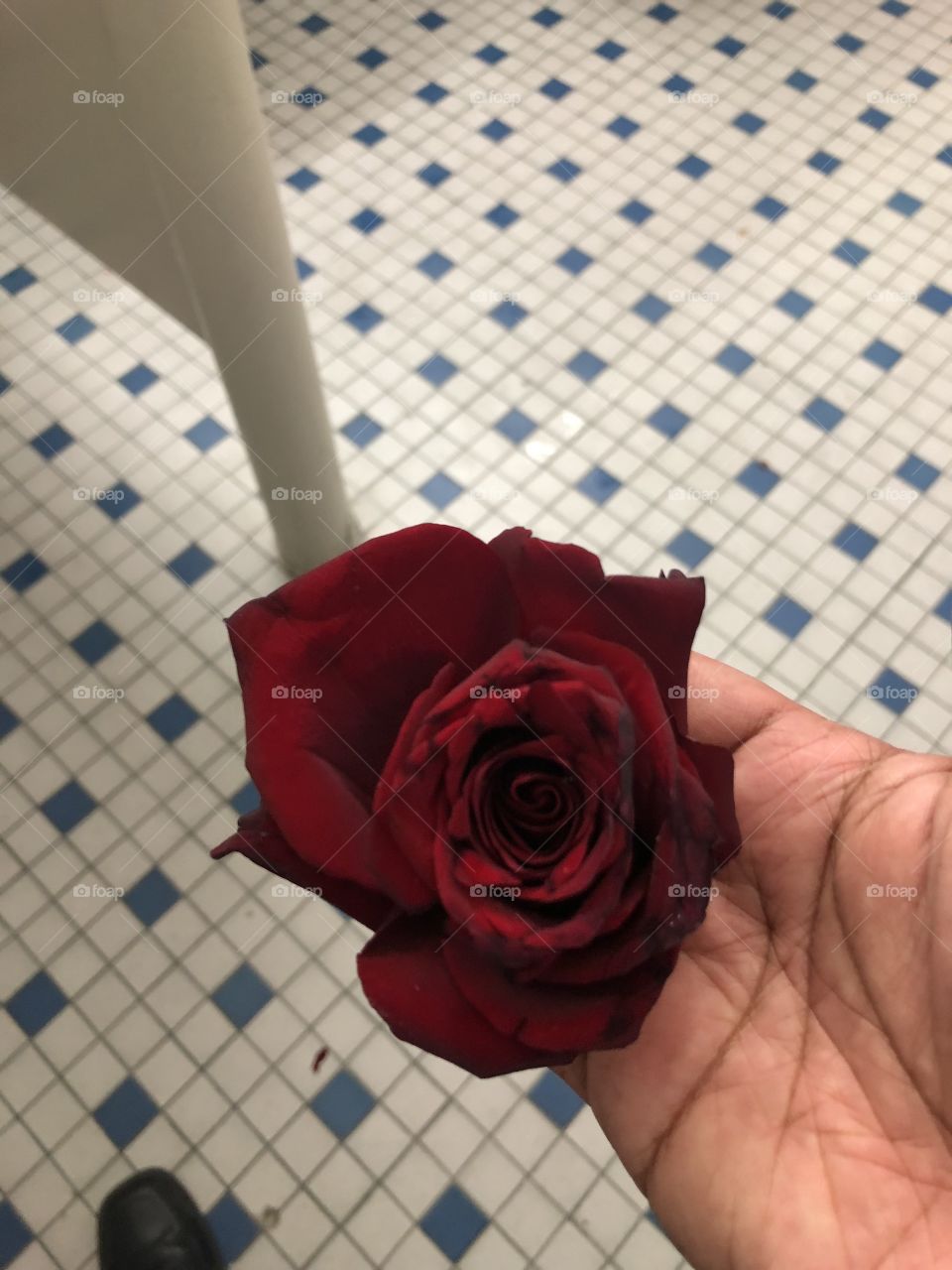 Rose nice