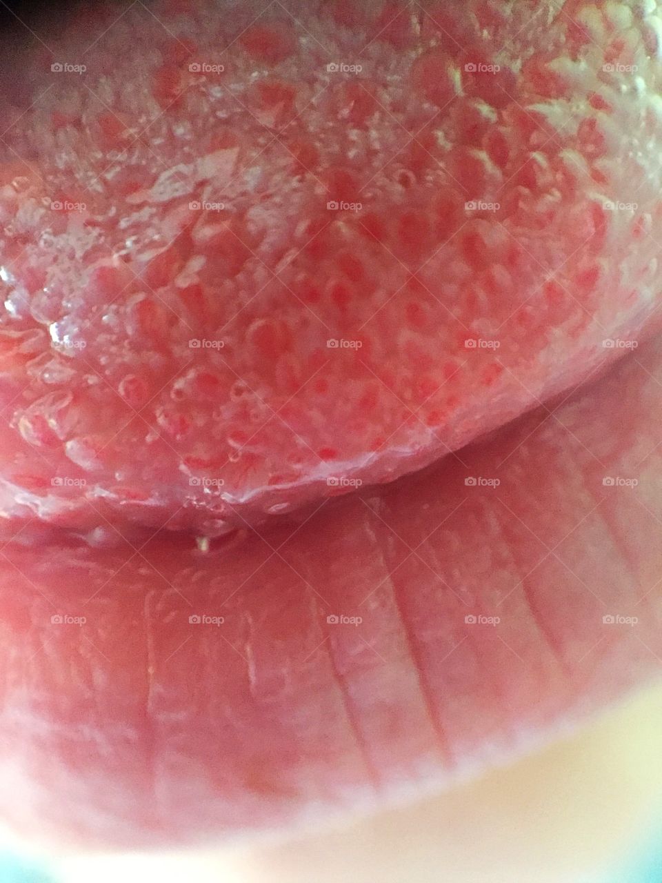 Tongue resting on lip macro shot