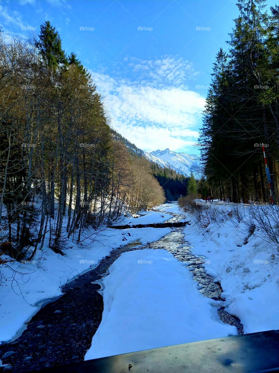 A River Runs Through It in Winter