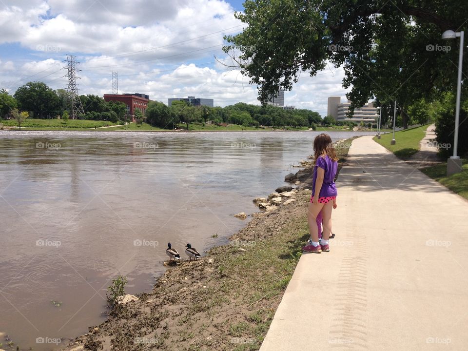 Watching river ducks. Girl watching ducks at river 