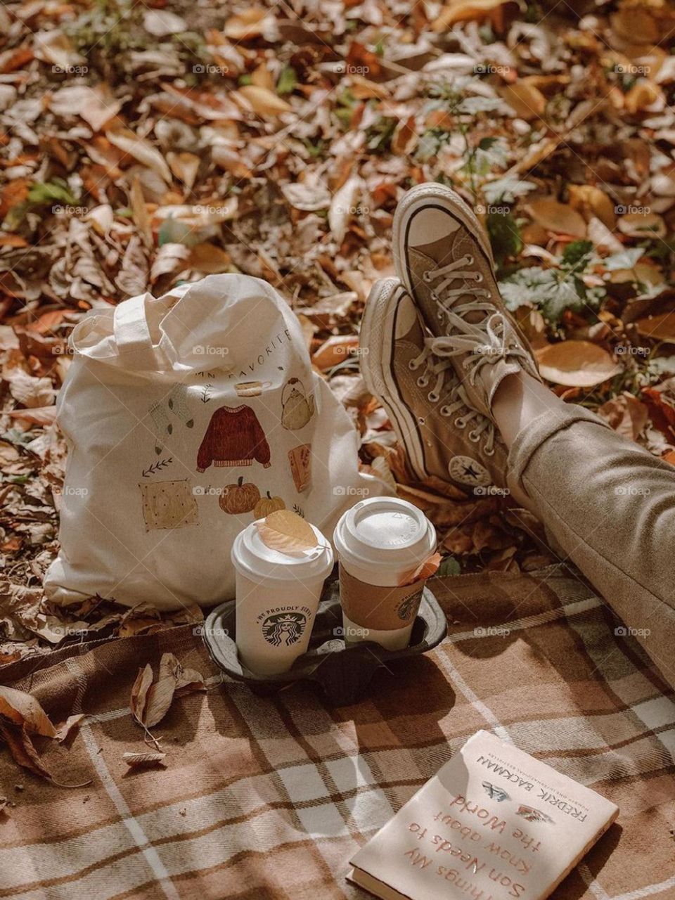 picnic in Fall has a different feeling! For me it is very pleasant to sit on the Fall leaves that cover the ground like a golden and colorful carpet and taste coffee in the low sunlight while chattin with a dear friend. Fall is colorful and lovely..