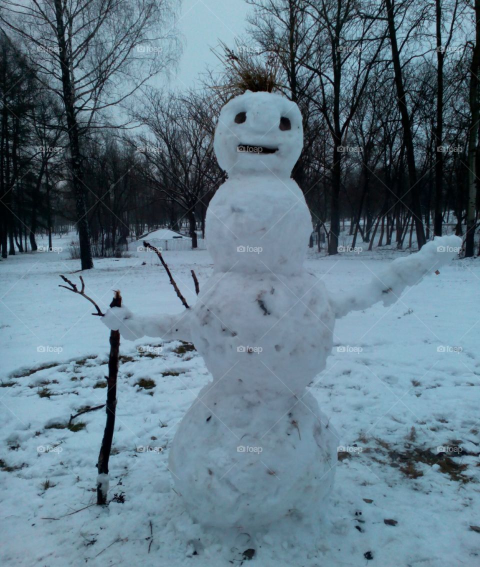 winter snowman