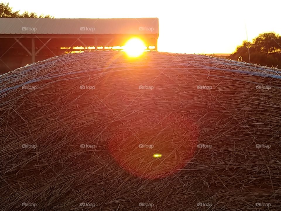 Texas Baled Hay While the Sun Shines