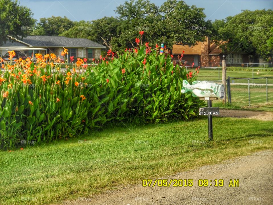 bass fishing 🎣 mailbox 📬. This is a picture of a house 🏡 that sits on Lake Graham that I saw while out walking 🚶 🏃 🔥 💨