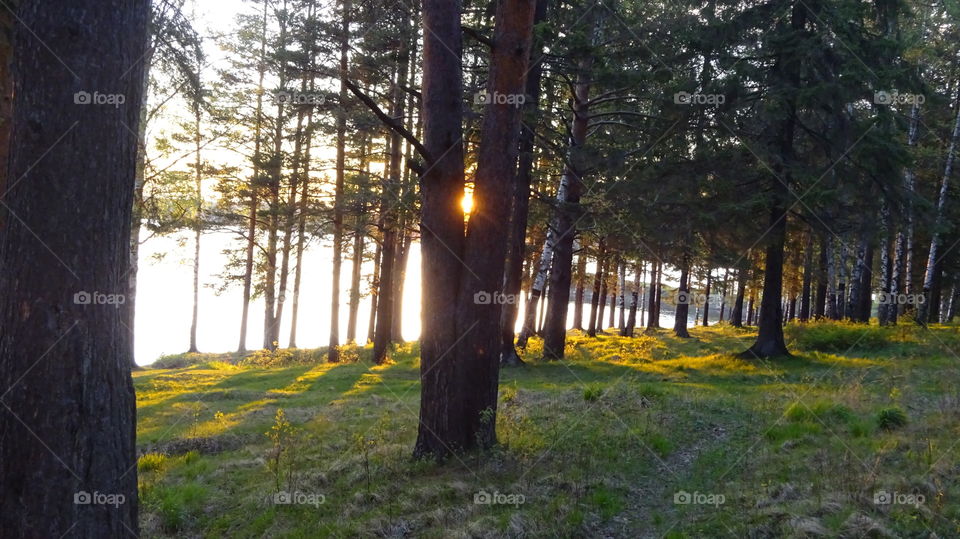 it was in the evening, there was nothing to do, walk on nature,sunset Ural Russia