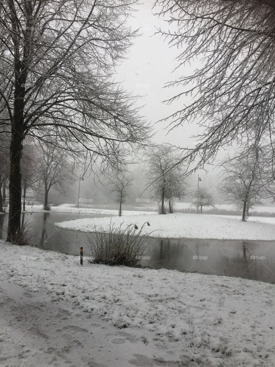 Park in the winter snow