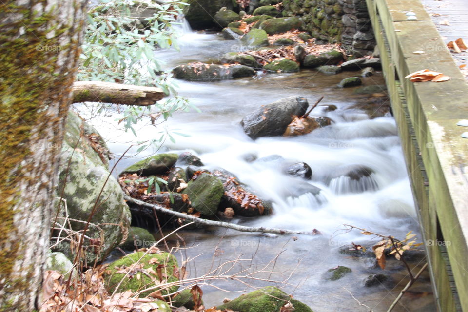 Tennessee mountain stream