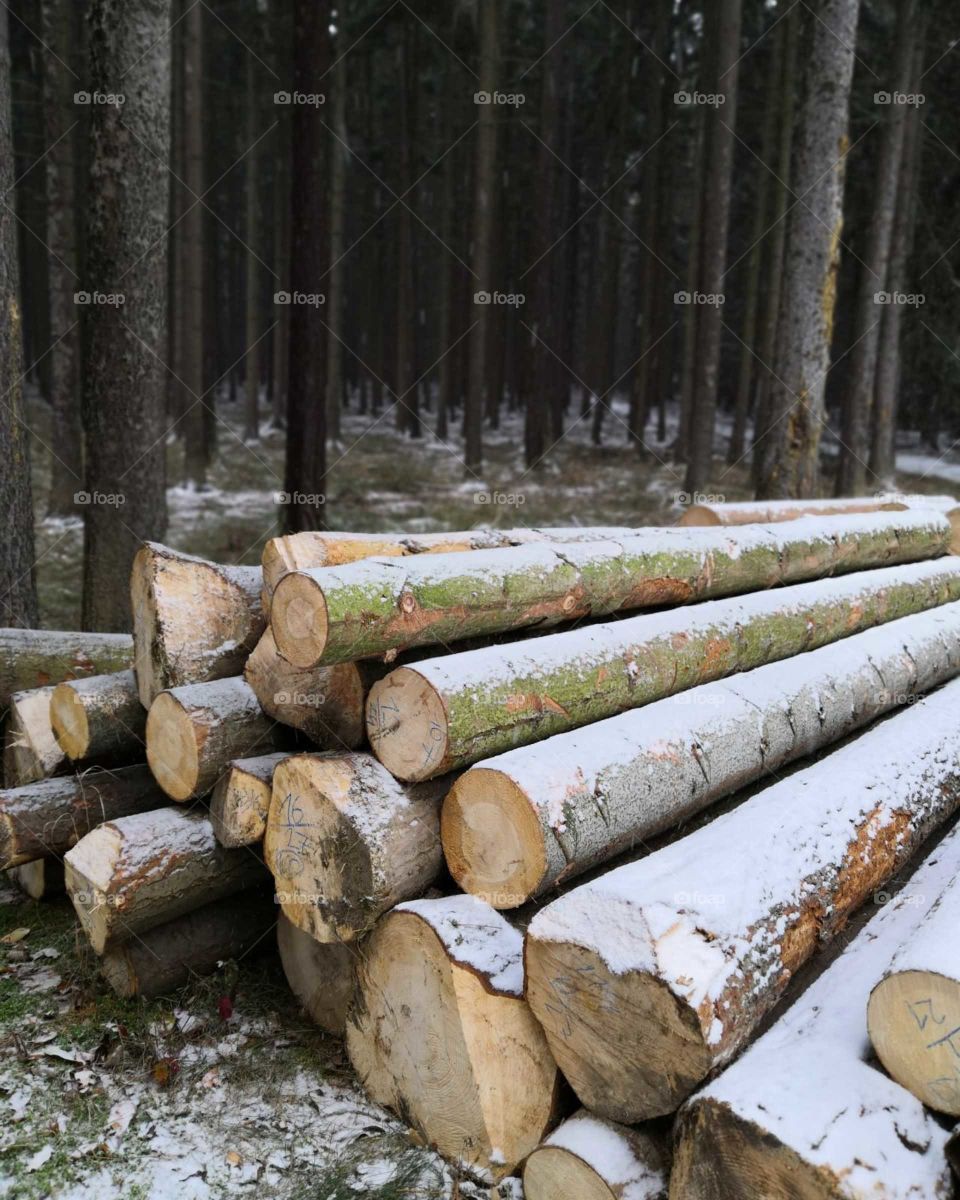 Beginning of winter in the Czech republic