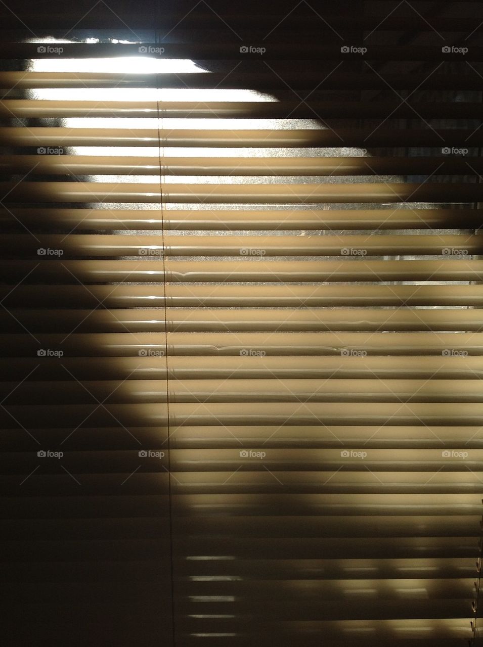 window sunlight australia blinds by king