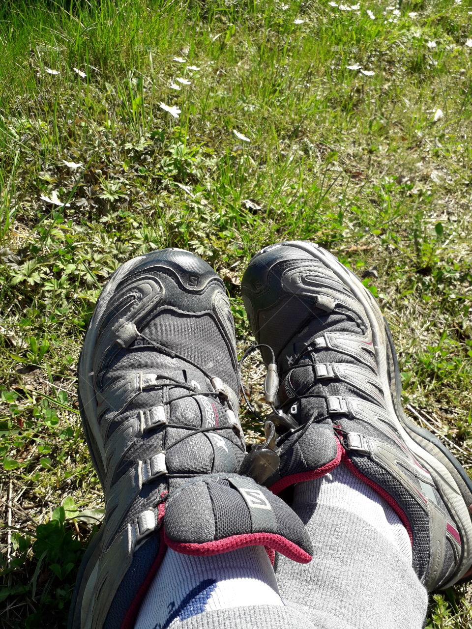resting on the grass