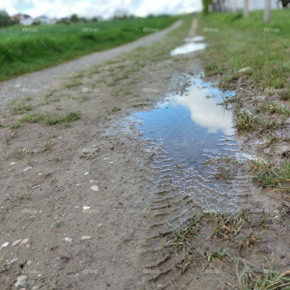 puddle