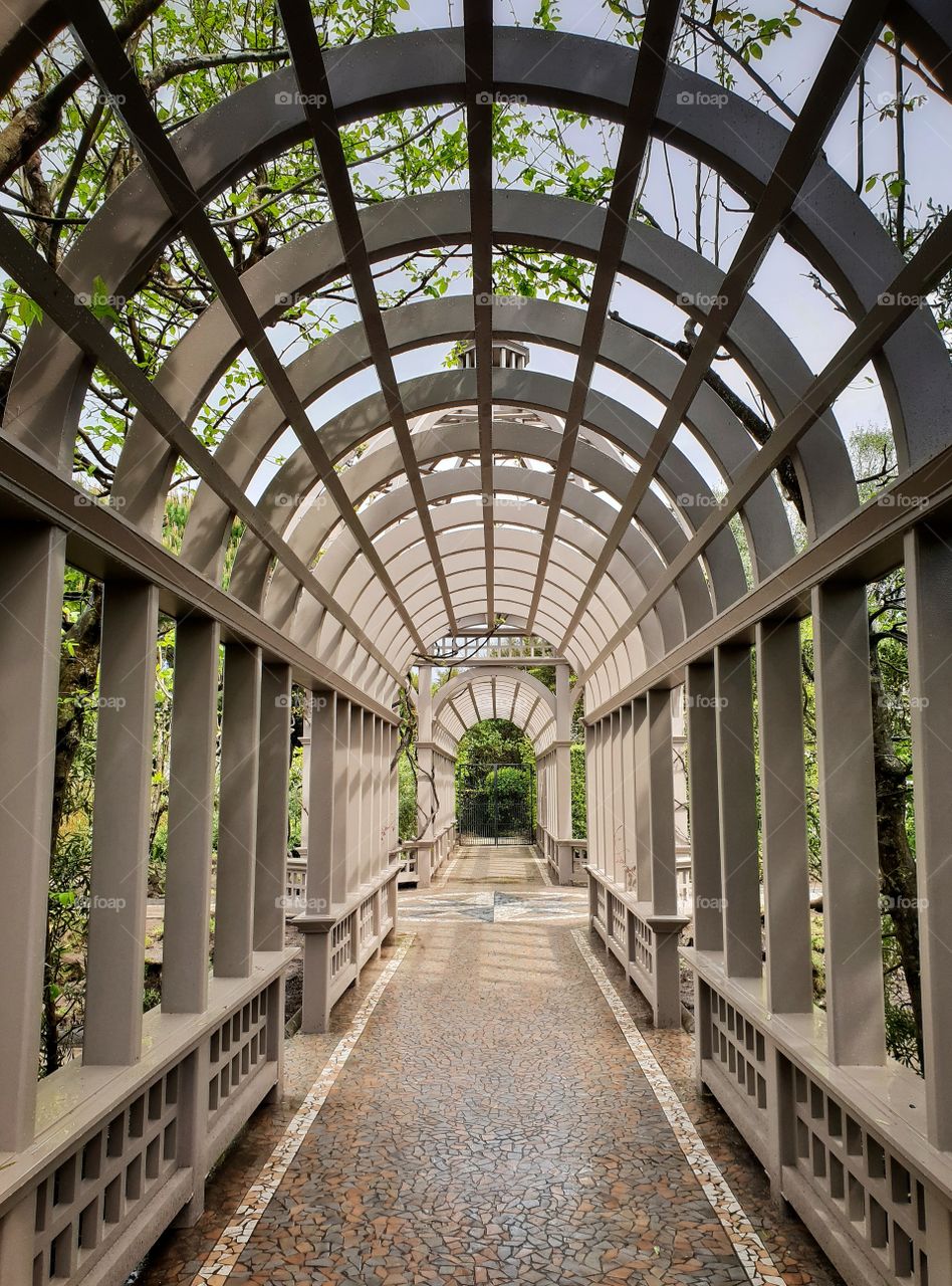 botanical garden tunnel