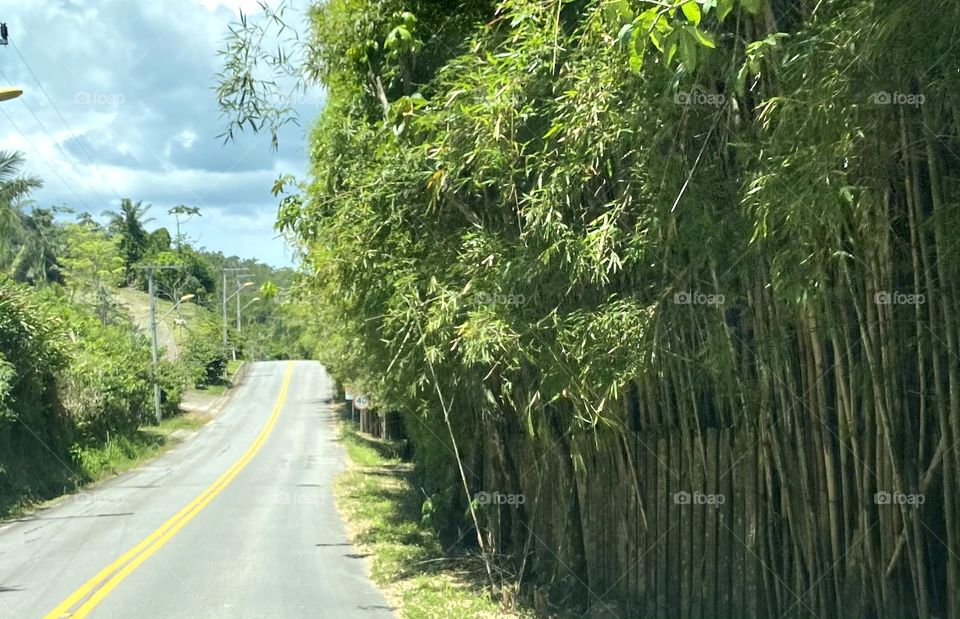 Paths that transmit peace.