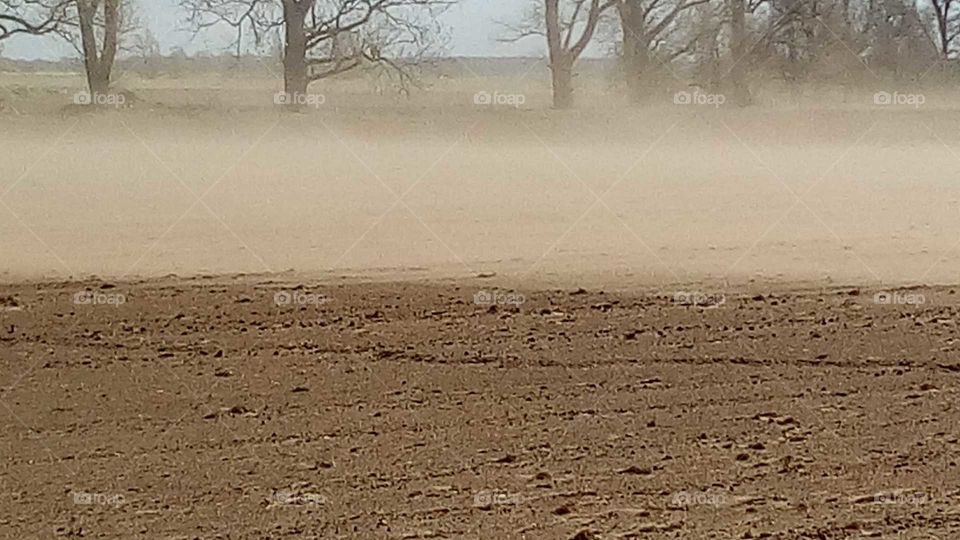 Sandsturm im Frühling