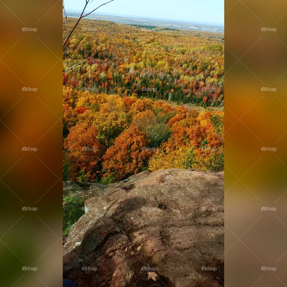 Nature, No Person, Landscape, Fall, Tree