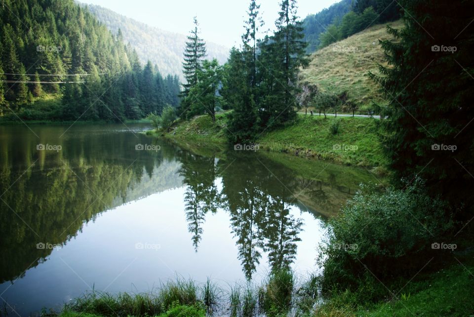 Reflection of trees and mountain on lake