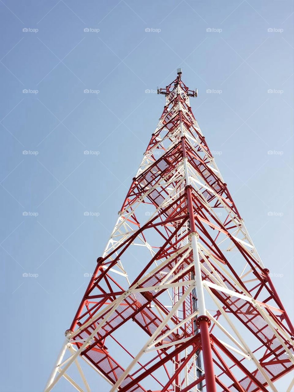 A very beautiful picture, and there is no better picture than it. There is no better picture of green herbs and colorful, red and white roses than it. Glory be to God, the natural and picturesque view, and there is no more