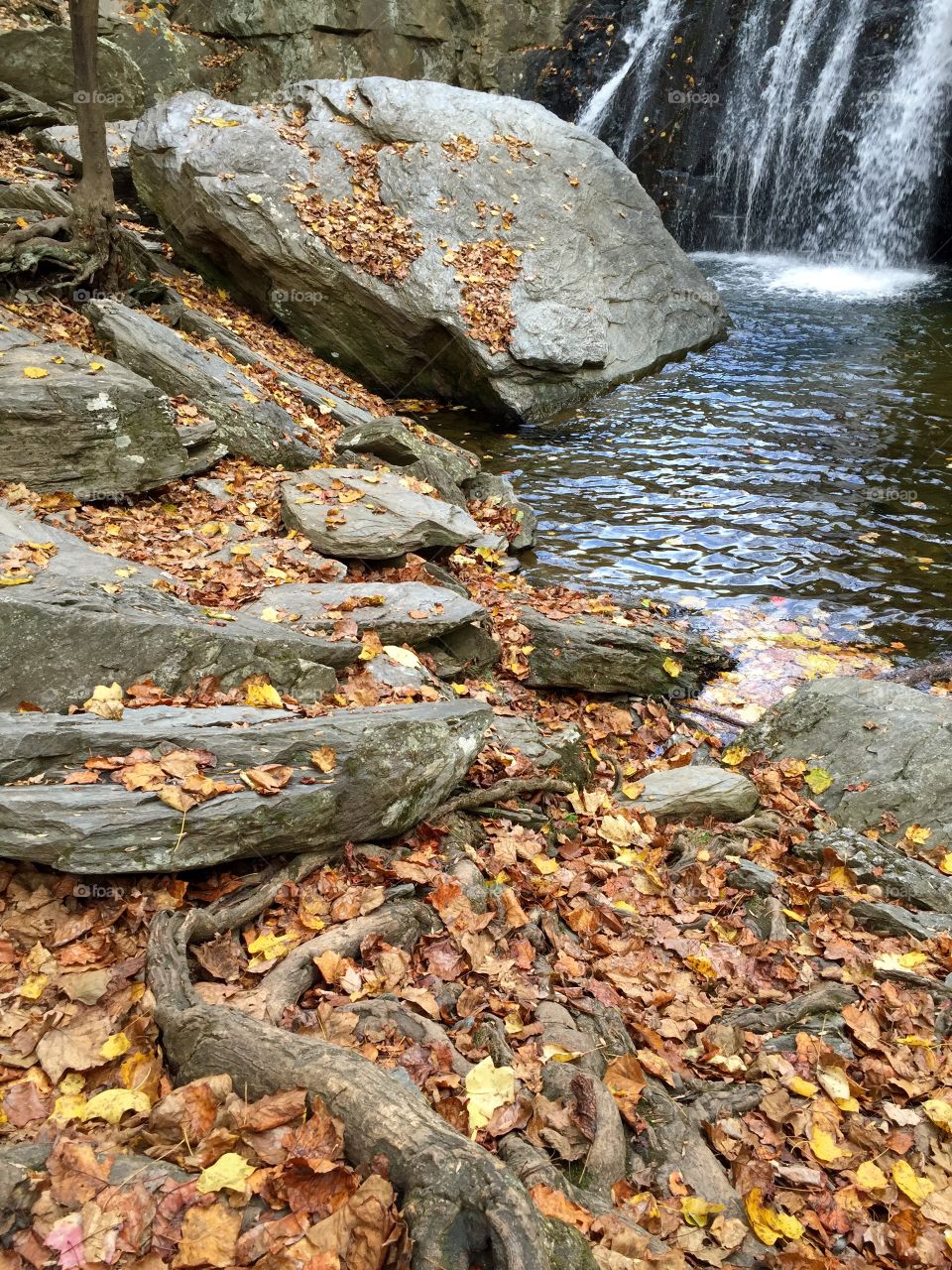 Fall foliage at Kilgore Falls