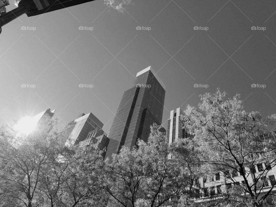 Herald Square in New York City