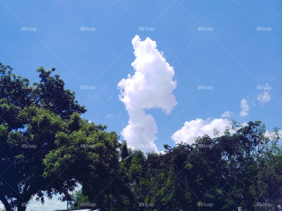 Have you ever seen a white angel over the sky ?