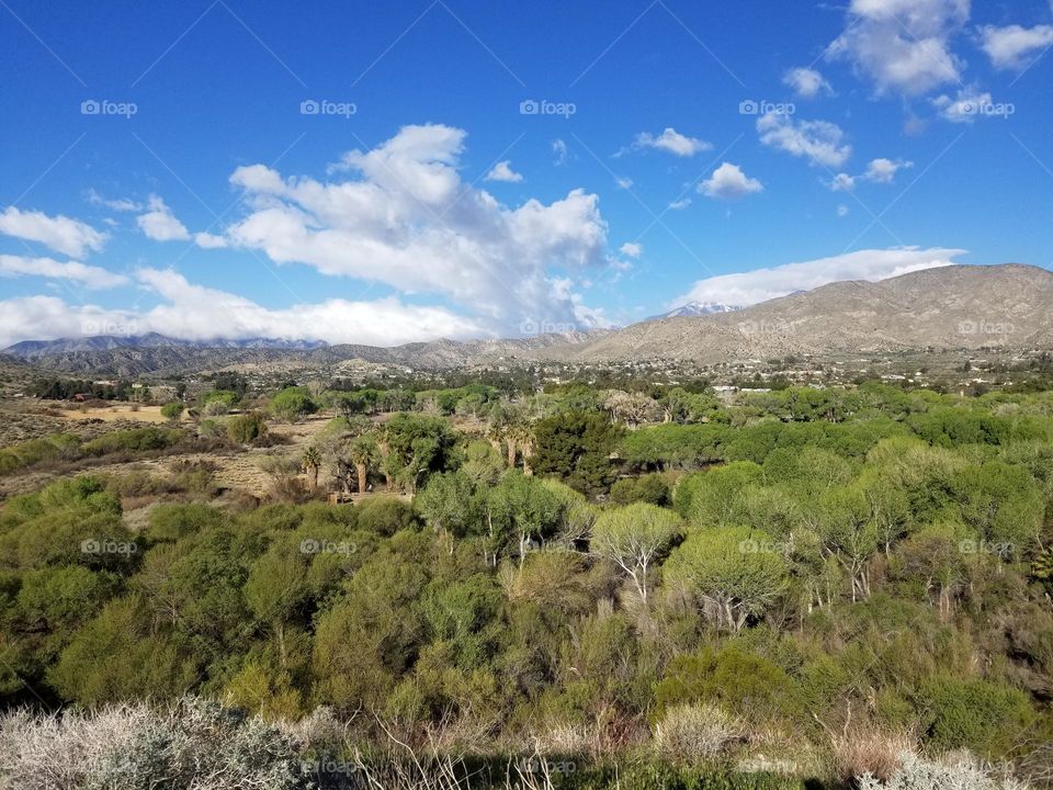 Cities vs Countryside mission.
Oasis in the middle of a rural desert town.