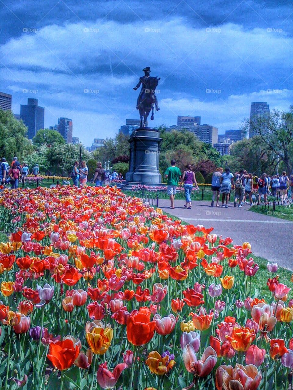 Boston in the Spring