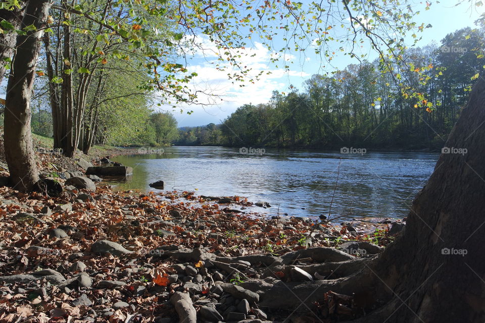 Casselman River Confluence, PA