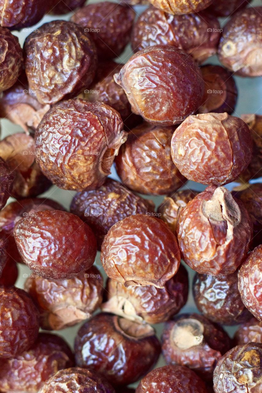 Creative Textures - soap nuts or soapberries (Sapindus Mukorossi)