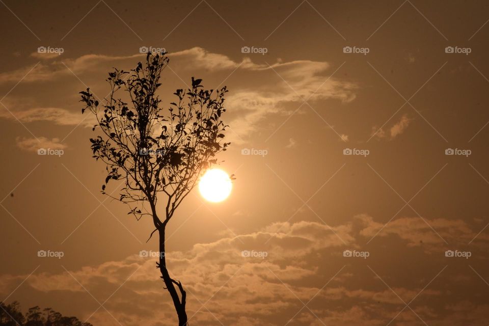 sunset movement capture in evening