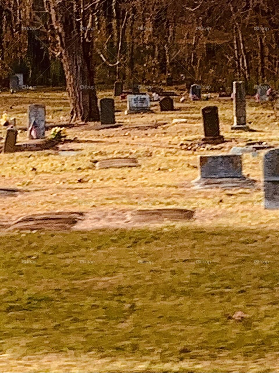 Unassuming graveyard 