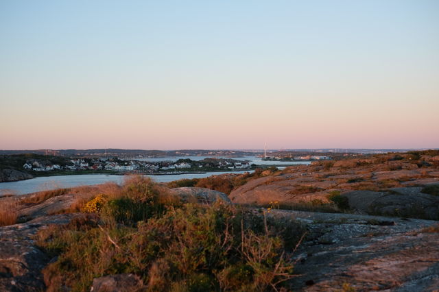 summer view