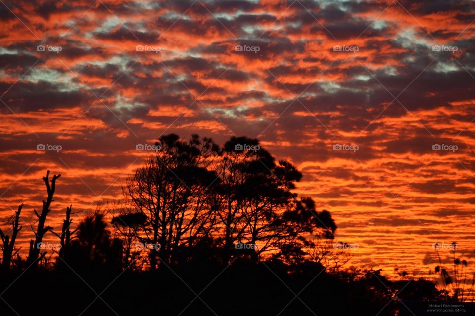 Orange/Red Sunset