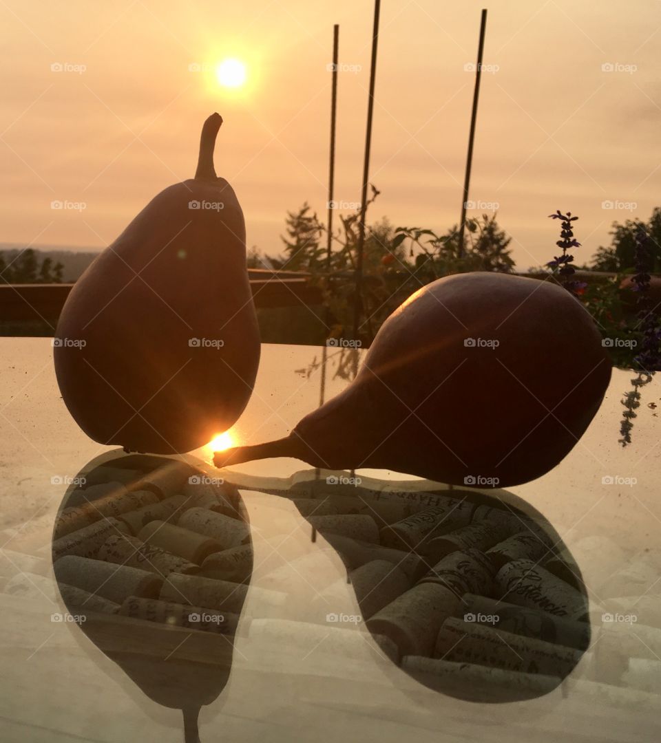 Pears at sunset 