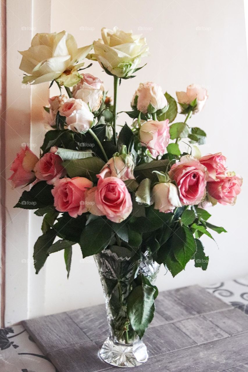 Roses in a vase