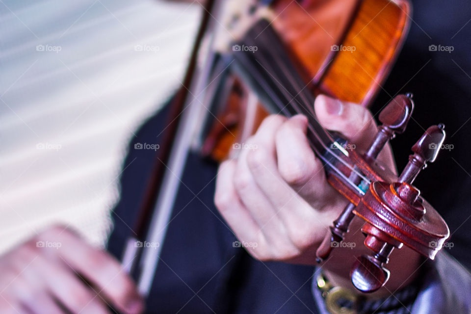 violin