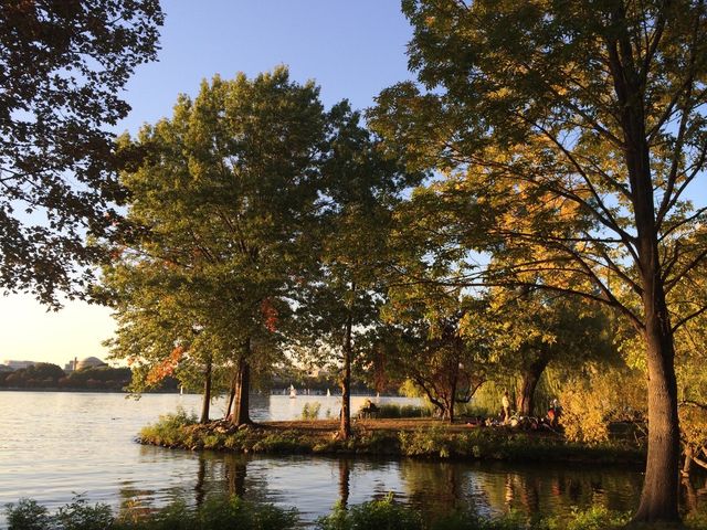 A Quiet Slice of Boston