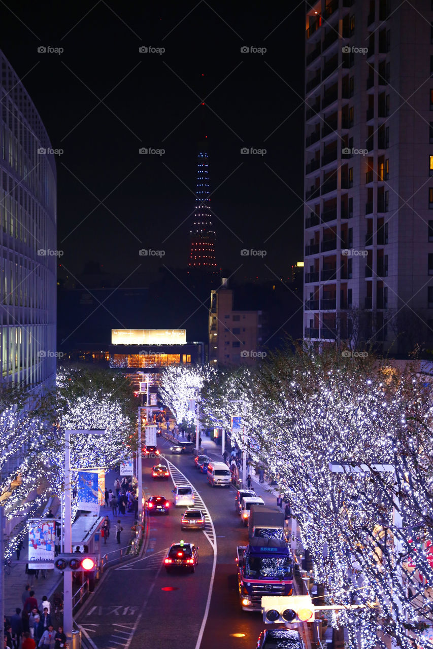 Illuminated trees on street in city