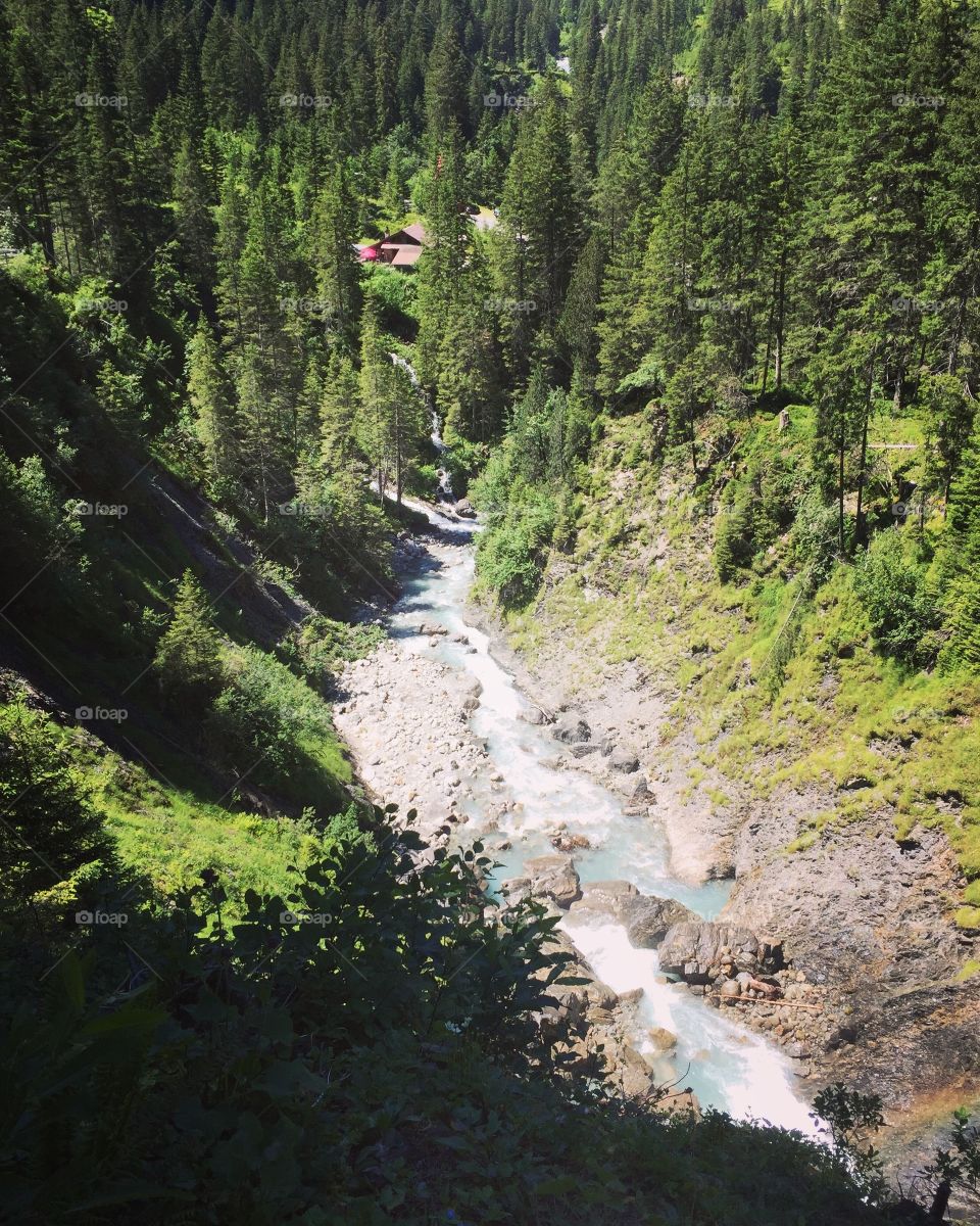 the water is flowing in the middle, surrounded by a forest , In the distance there is a house with a red roof , I stood on a small path in the mountain, admiring the surrounding natural scenery