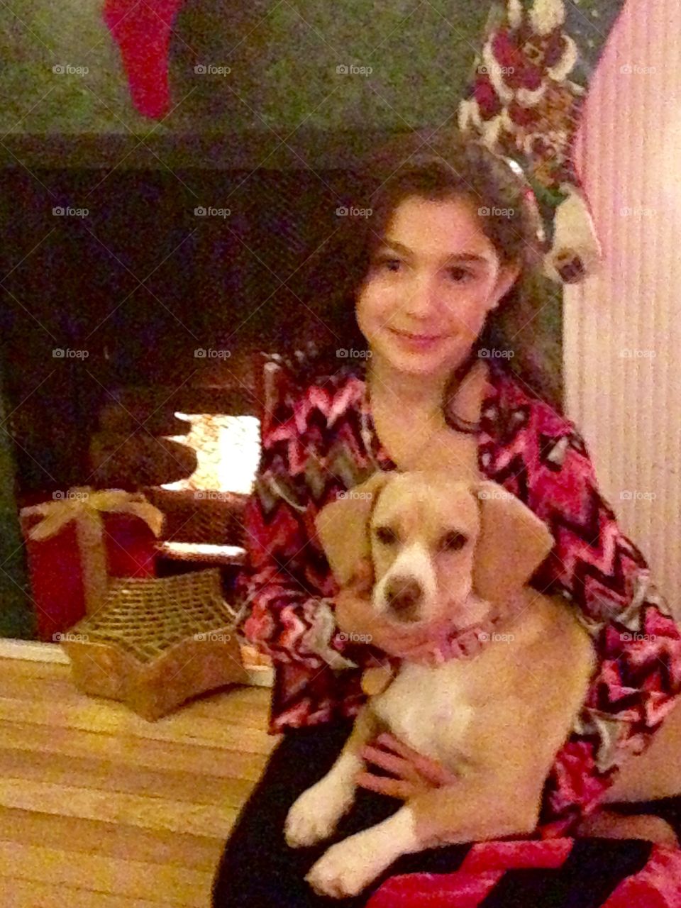 A girl and her dog at Christmas