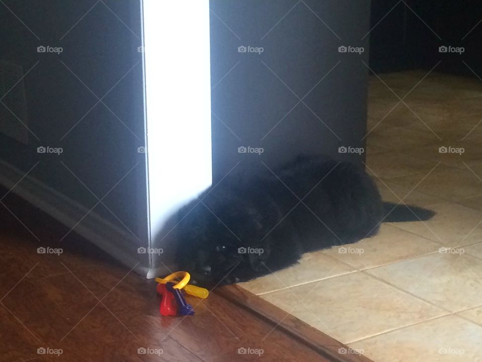 No Person, Room, Indoors, Light, People