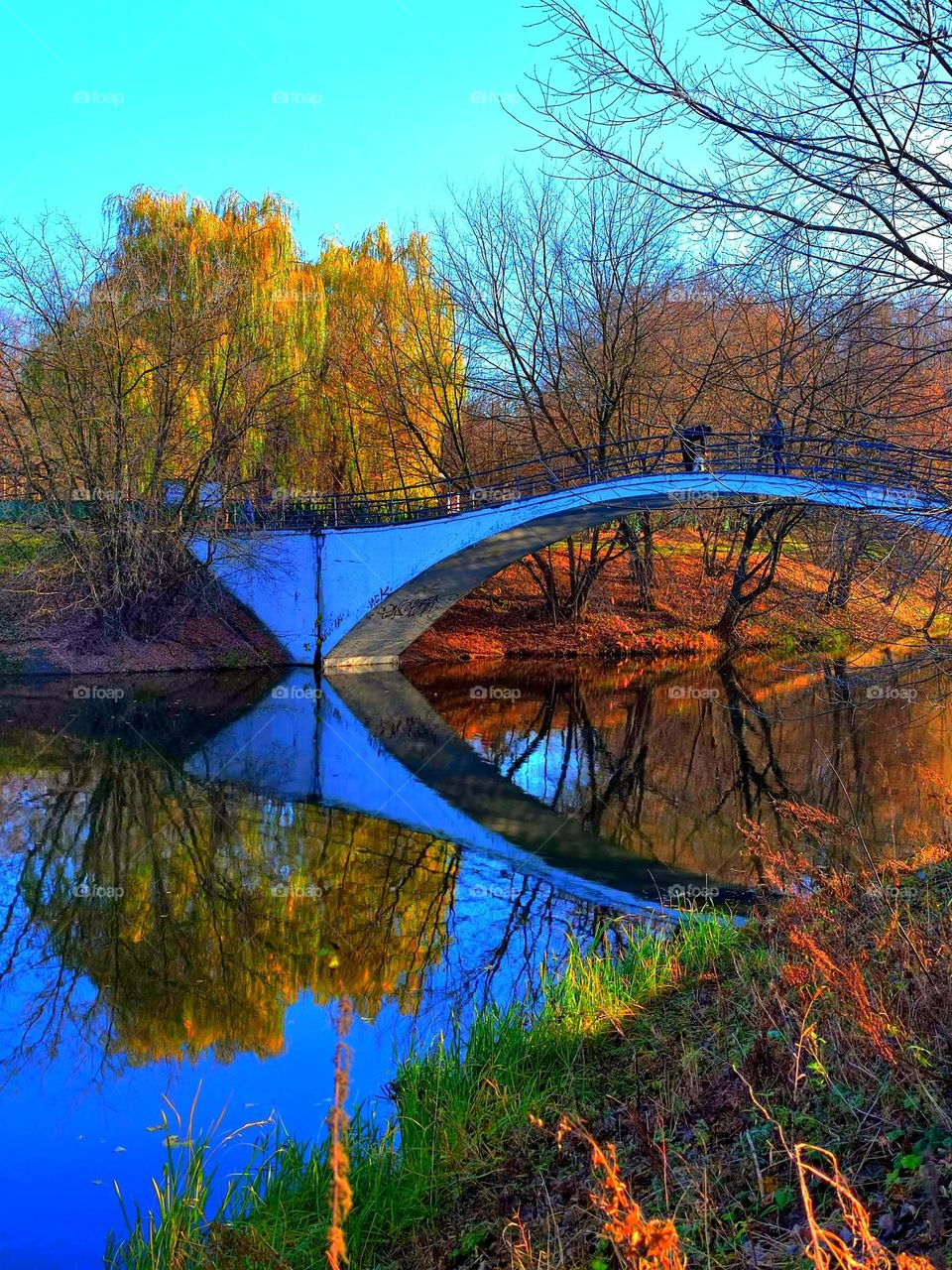 Nature in the fall.  Sunny day. Multicolored trees and white bridge are reflected in the water of the river.  Harmony