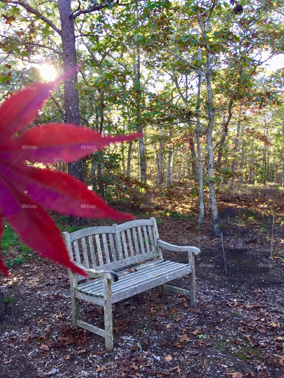 Fall 