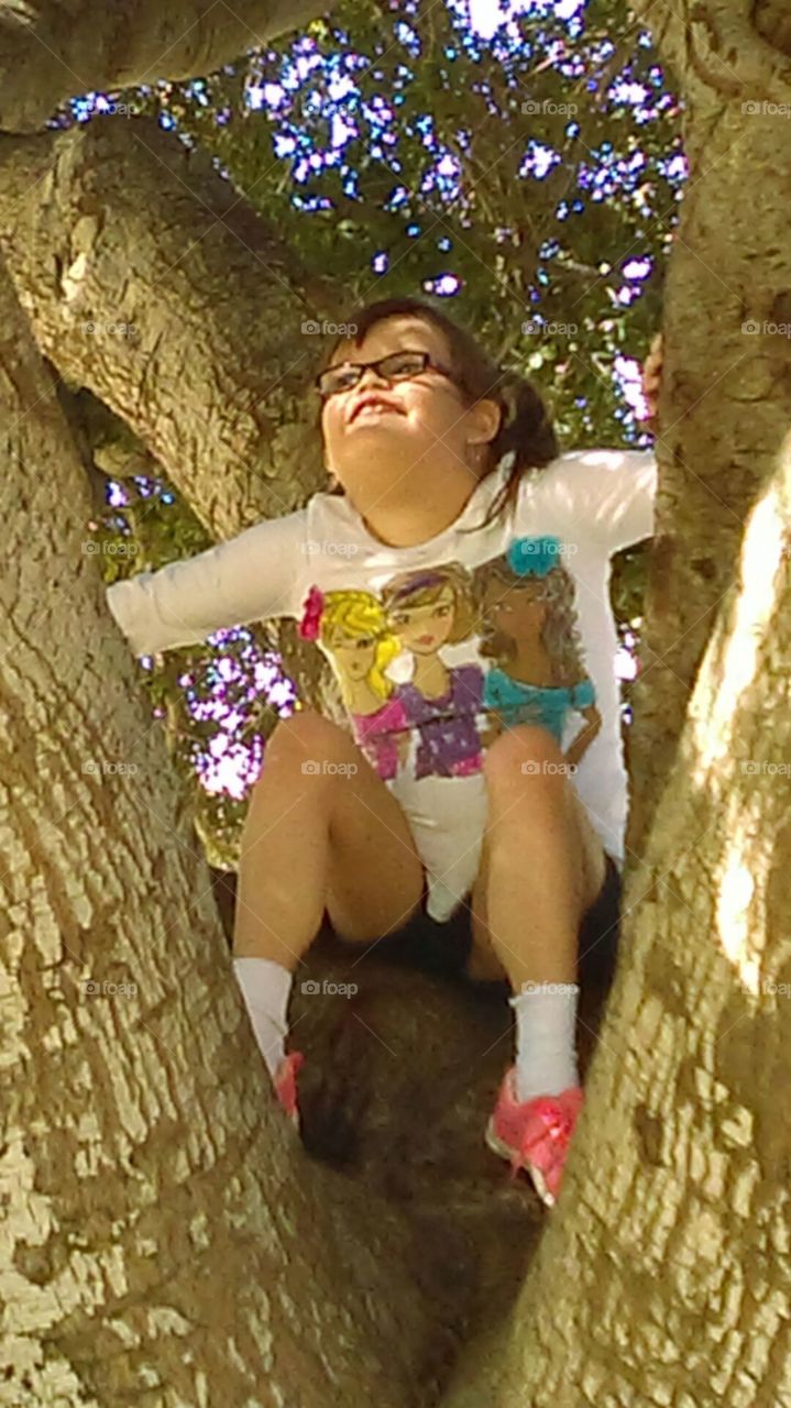 Up in a tree
