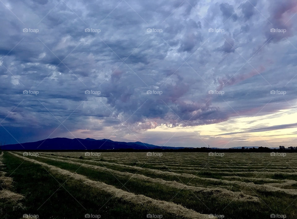 Swirling storm clouds moving over a plowed, drying hay field in purples and blues with mountain silhouette
