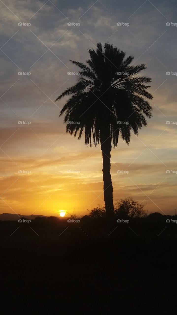 sunset in the South East of Goulimine ,a beautiful place full of Palm trees