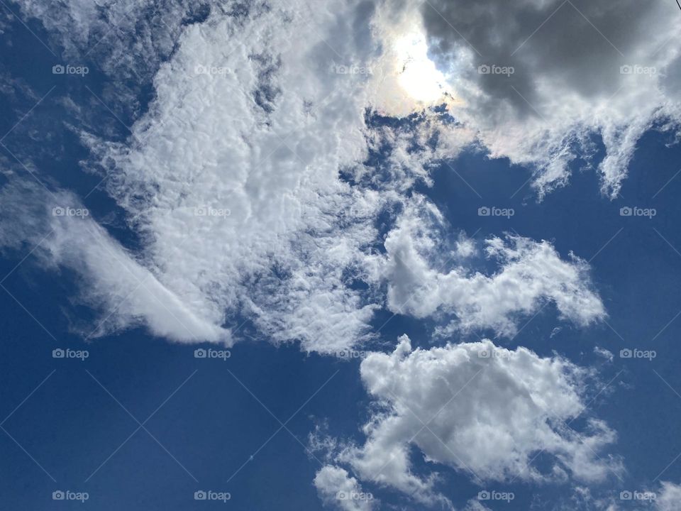 A beautiful day to walk 