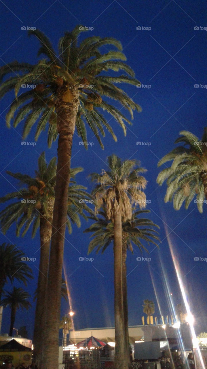 Night Sky's Los Banos, California