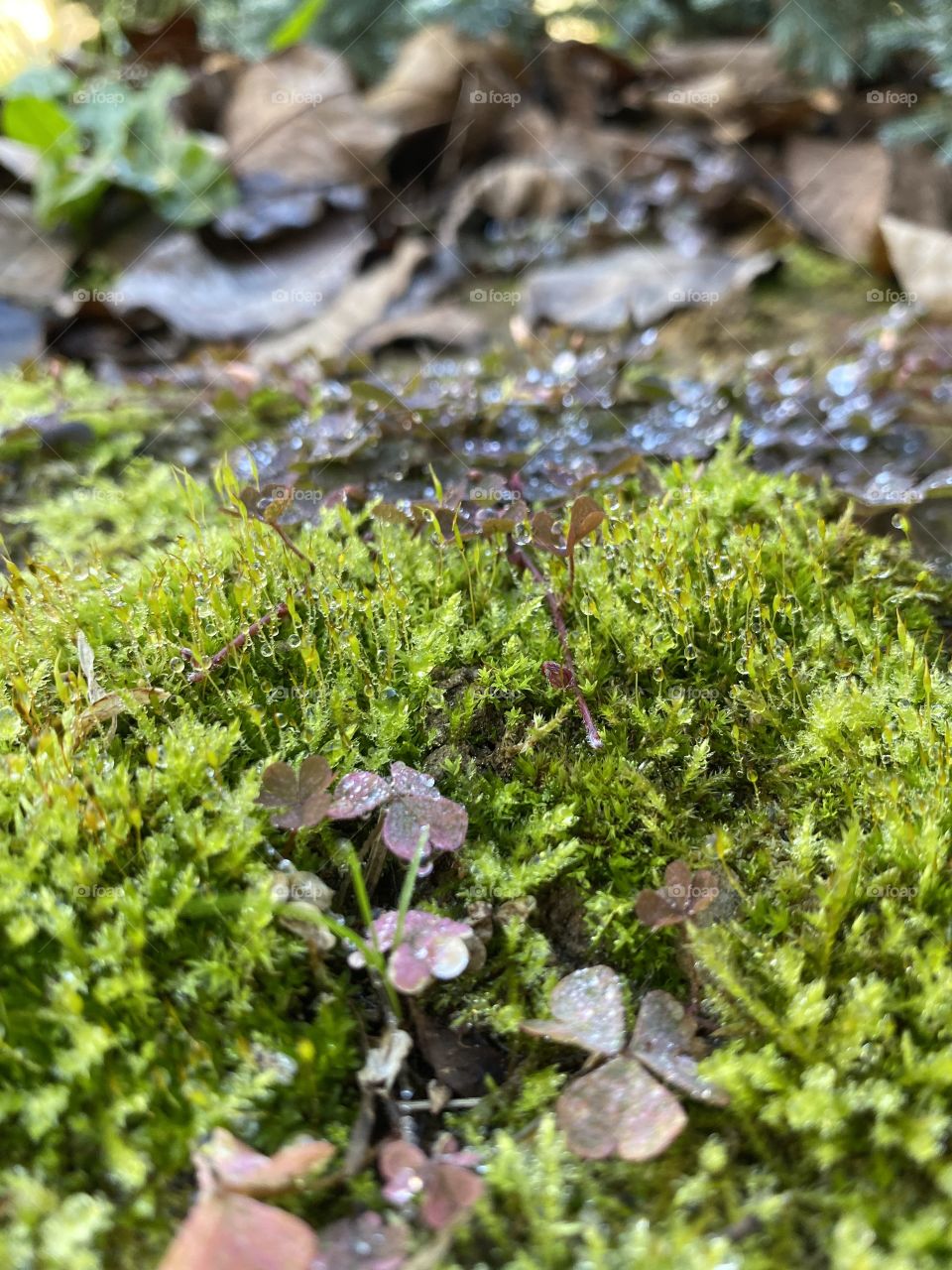 Power of nature 📸🥰💦🌱💗