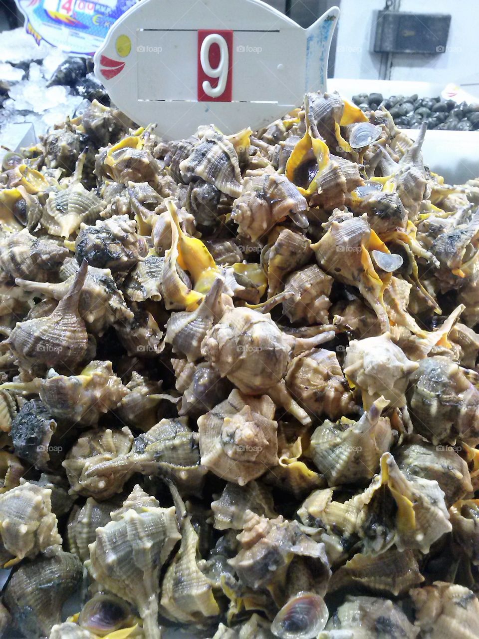 Fish Merkado in Alxeciras